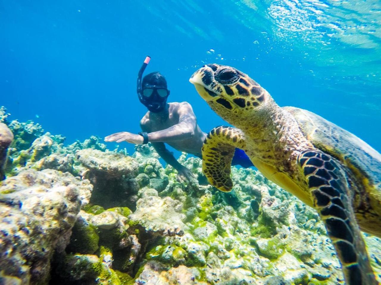 Old Town Inn Maldives Gaafaru المظهر الخارجي الصورة