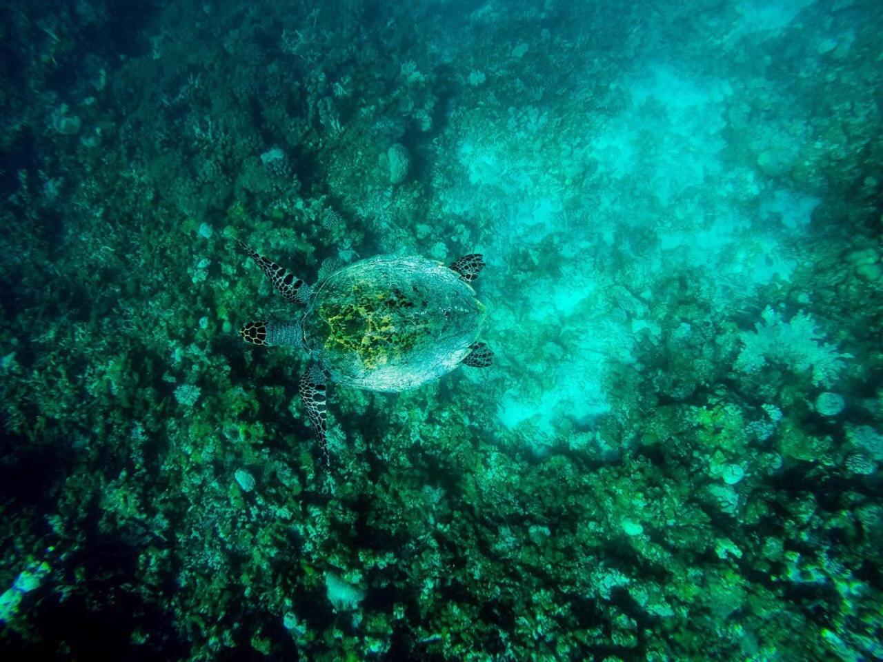 Old Town Inn Maldives Gaafaru المظهر الخارجي الصورة