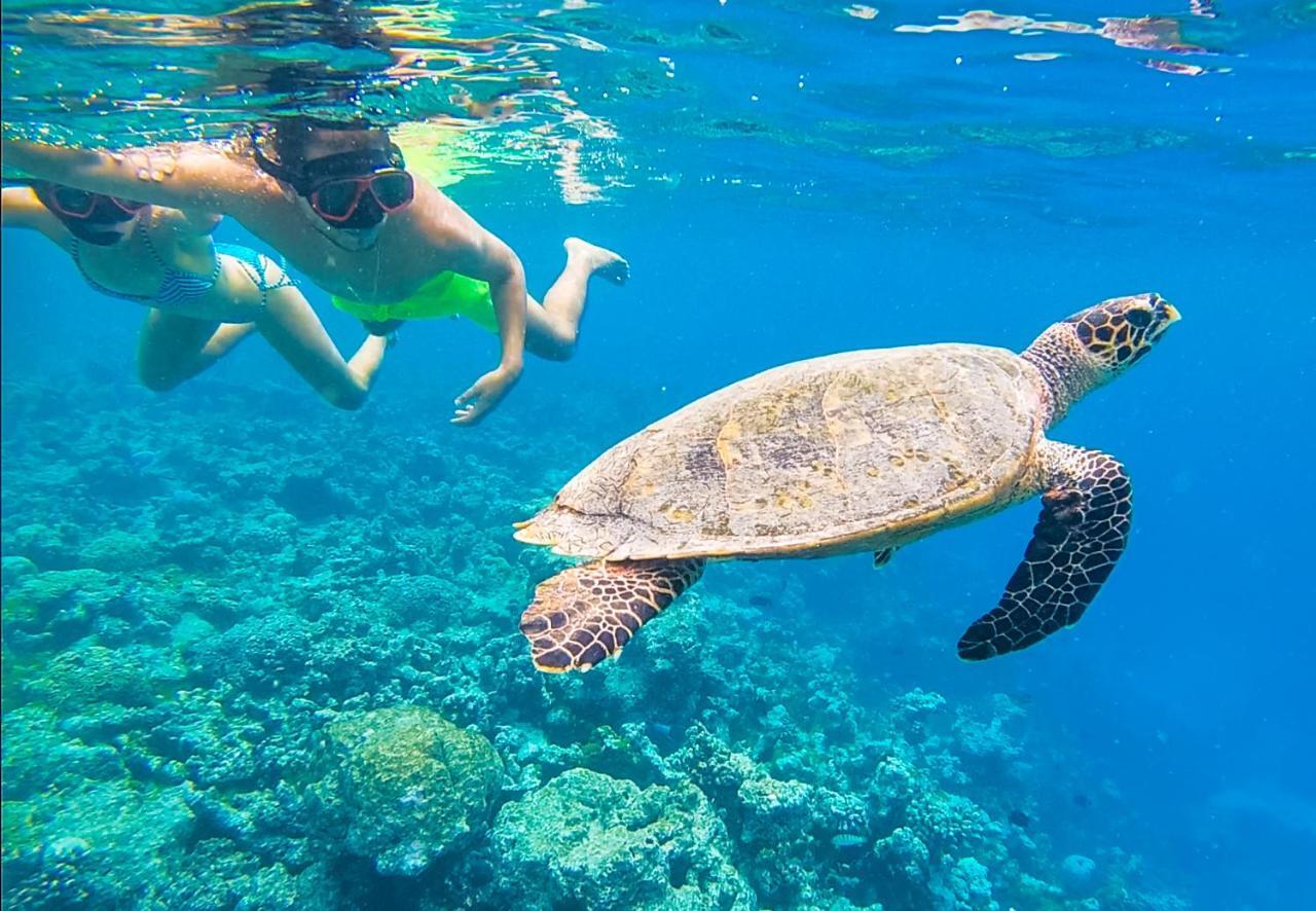 Old Town Inn Maldives Gaafaru المظهر الخارجي الصورة