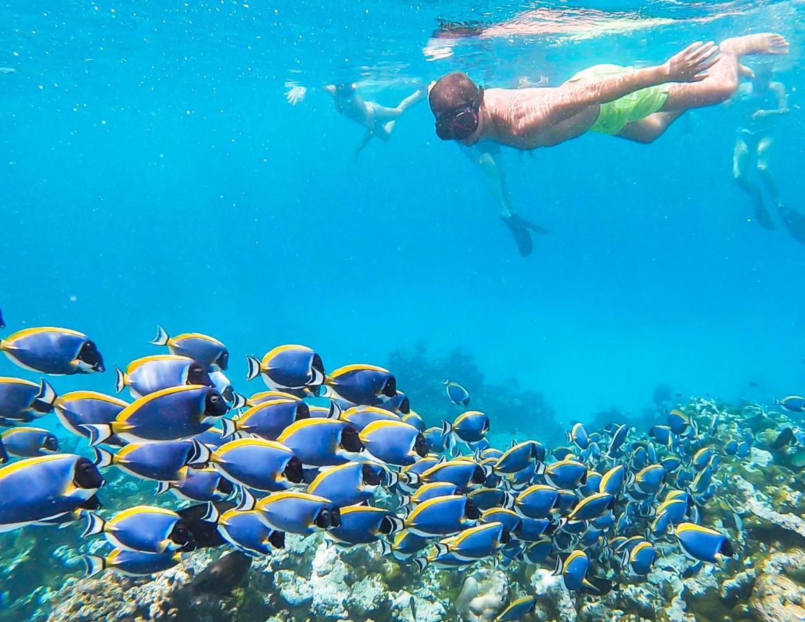 Old Town Inn Maldives Gaafaru المظهر الخارجي الصورة